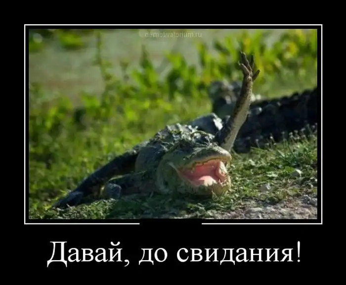 Картинки в черной рамке Картинки в черной рамке