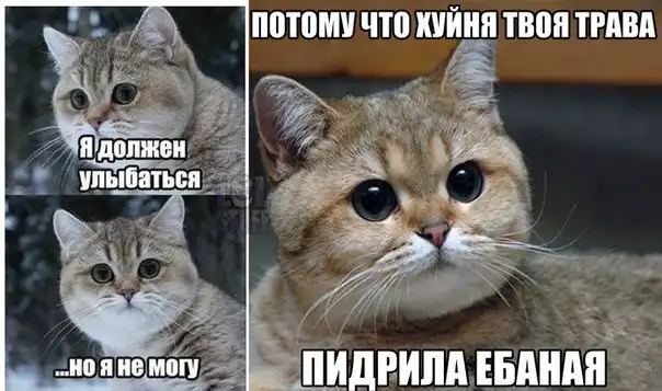 Трешовые картики абавсём:D (18.11.12) Трешовые картики абавсём:D (18.11.12)