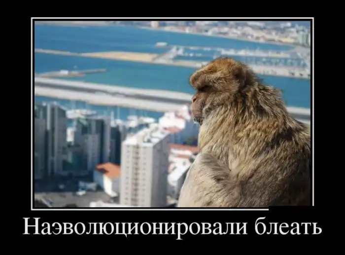 Картинки в черной рамке Картинки в черной рамке