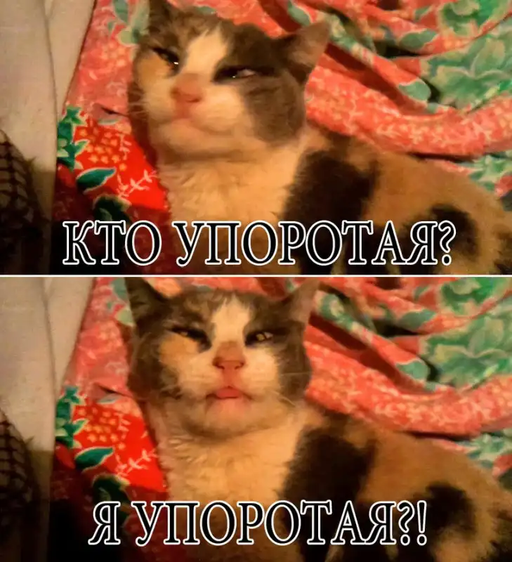Разнообразная подборка =) Для настроения!