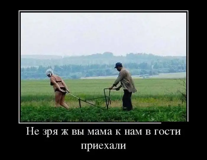 Картинки в черной рамке Картинки в черной рамке