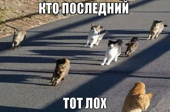 Веселые комиксы Веселые комиксы
