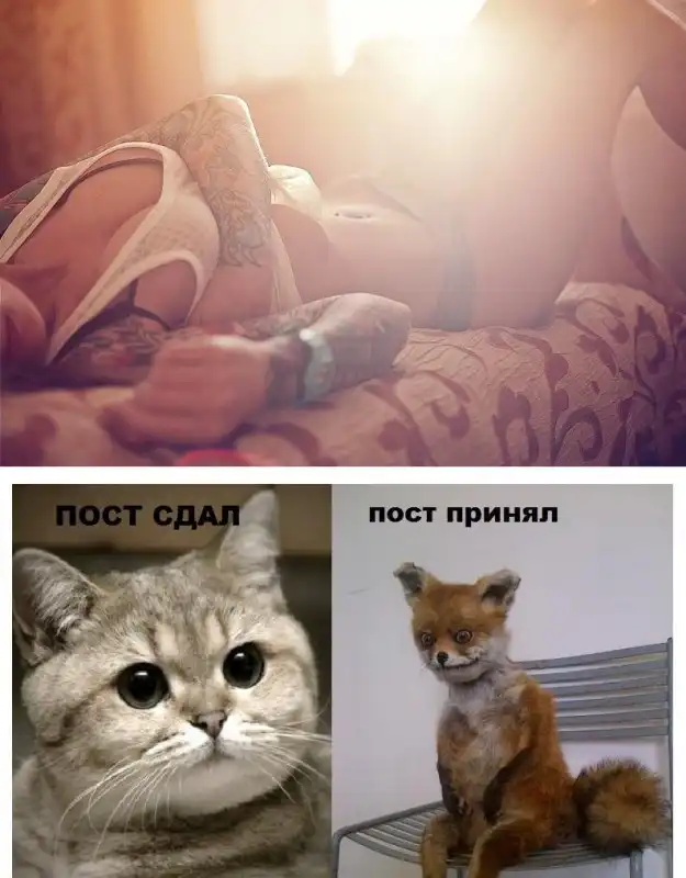 Разнообразная подборка =)
