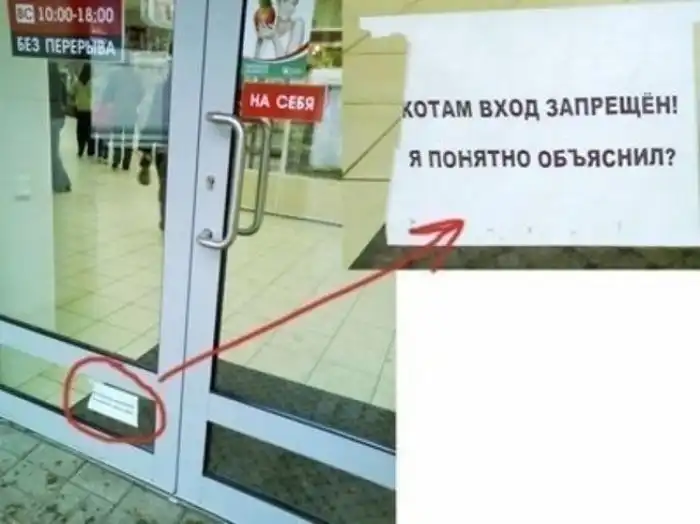 Смешные надписи Смешные надписи