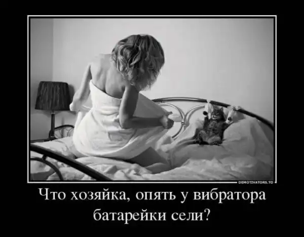 Эротические демотиваторы