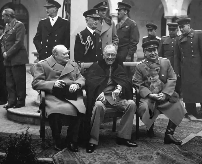 Чучело лисы ставшее интернет-мемо Чучело лисы ставшее интернет-мемо