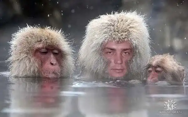 Разнообразная подборка =) На СЕРЕДину недели!
