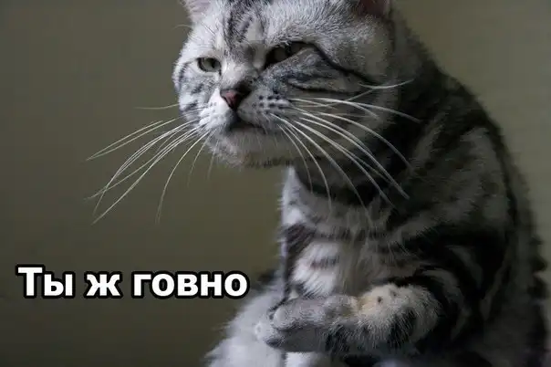 Разнообразная подборка =) На СЕРЕДину недели!