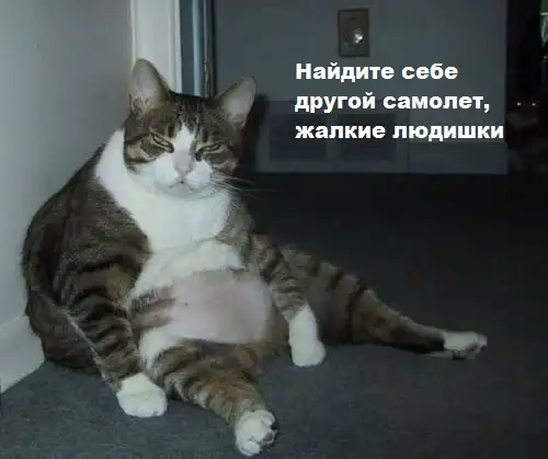 Разнообразная подборка =) На СЕРЕДину недели!
