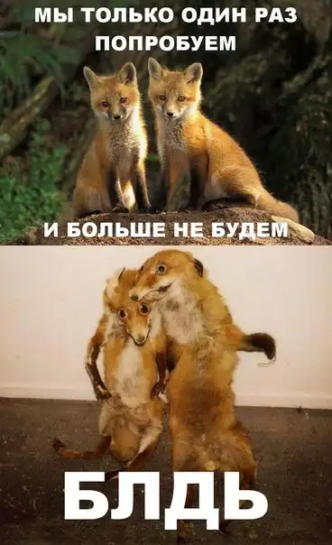 Разнообразная подборка =) На вечер!