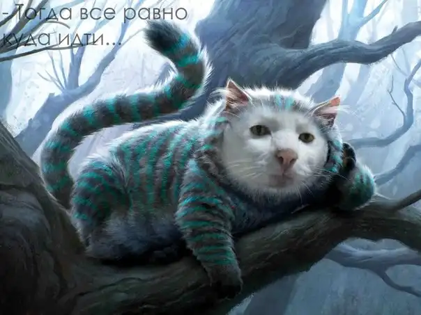 Разнообразная подборка =) на пятницу!