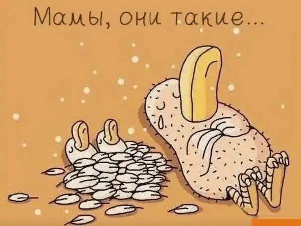 Разнообразная подборка =) на пятницу!