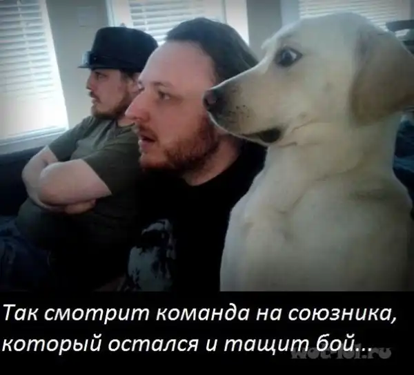Задротские картинки 2