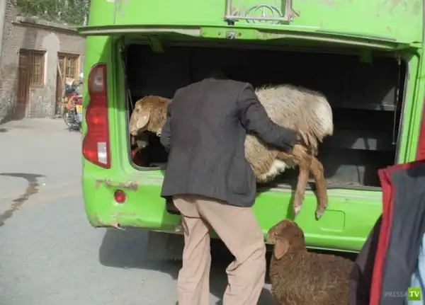 Однажды в автобусе