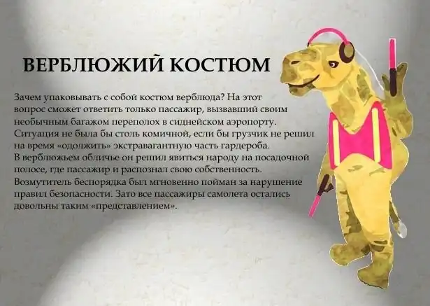 Самый необычный и странный багаж Самый необычный и странный багаж