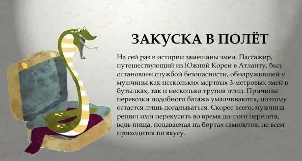 Самый необычный и странный багаж Самый необычный и странный багаж