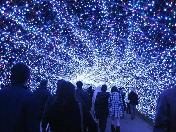 Инсталляция "Зимнее освещение" в Японии
