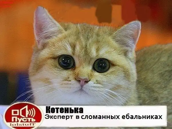 Трешовые картики абавсём:D (06.11.12) Трешовые картики абавсём:D (06.11.12)