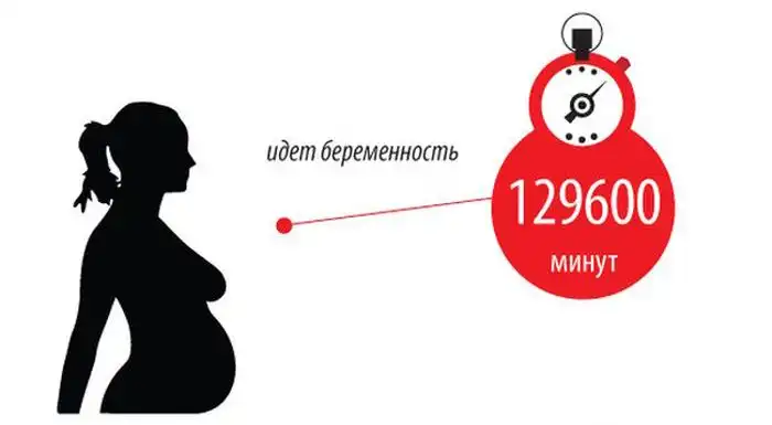 Длительность различных событий в одном инфографике Длительность различных событий в одном инфографике