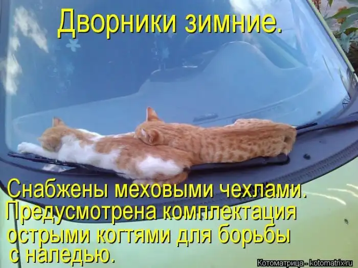 Лучшие котоматрицы недели Лучшие котоматрицы недели