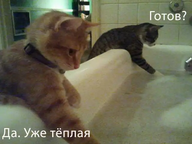 Разнообразная подборка =) На вечер!