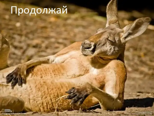 Разнообразная подборка =) На выходные!