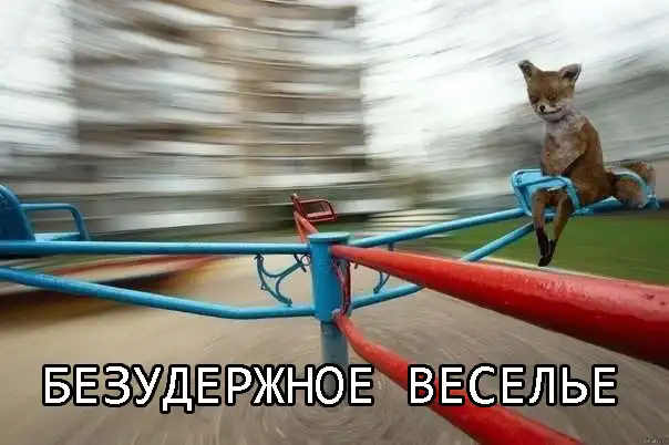 Разнообразная подборка =) Позитива вам!!