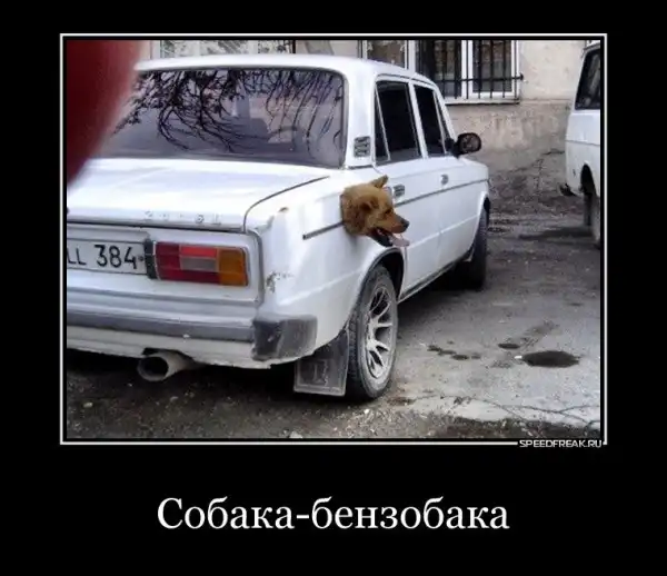 Подборочка