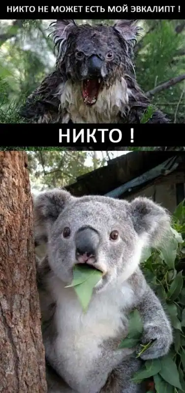 Разнообразная подборка =) На вечер!