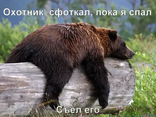 Подборка разных приколов