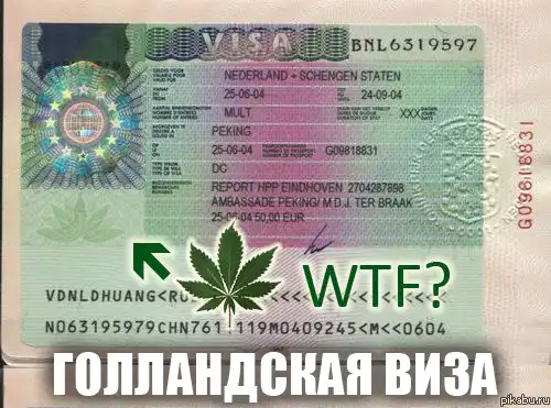 Подборка разных приколов