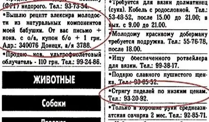 Смешные надписи Смешные надписи