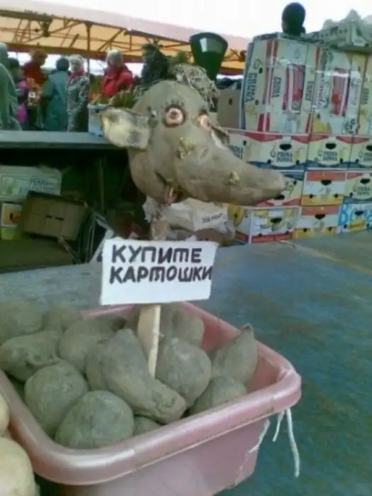 Смешные надписи Смешные надписи