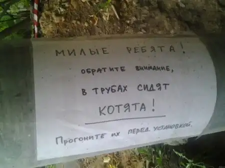 Разнообразная подборка =) Для веселья!
