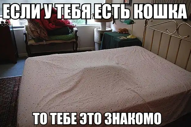 Разнообразная подборка =) Для веселья!