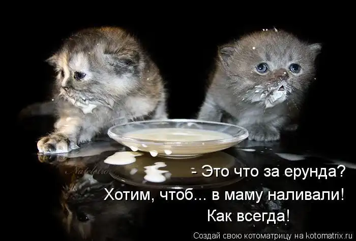 Лучшие котоматрицы недели Лучшие котоматрицы недели