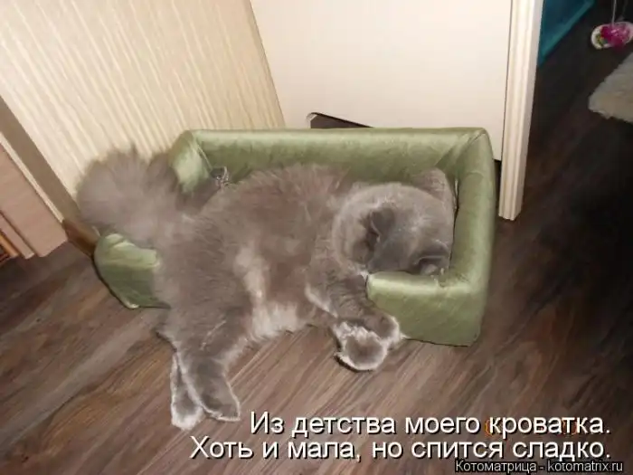 Лучшие котоматрицы недели Лучшие котоматрицы недели