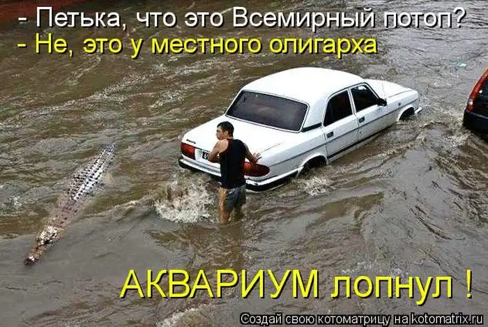 Лучшие котоматрицы недели Лучшие котоматрицы недели