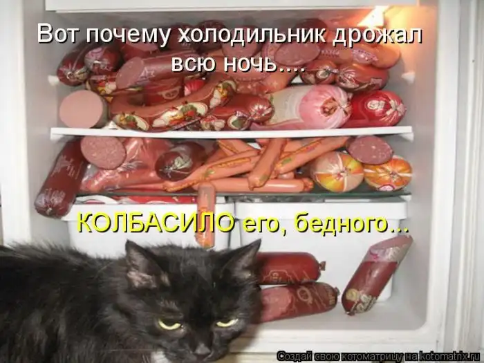 Лучшие котоматрицы недели Лучшие котоматрицы недели
