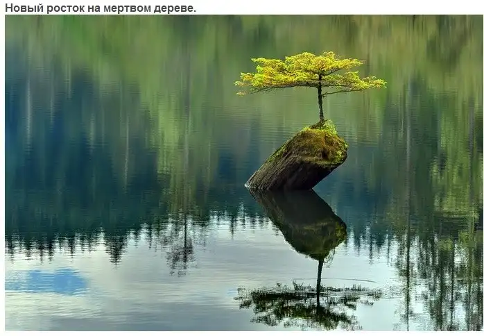 Разнообразная подборка =)