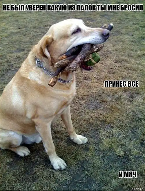 Разнообразная подборка =)