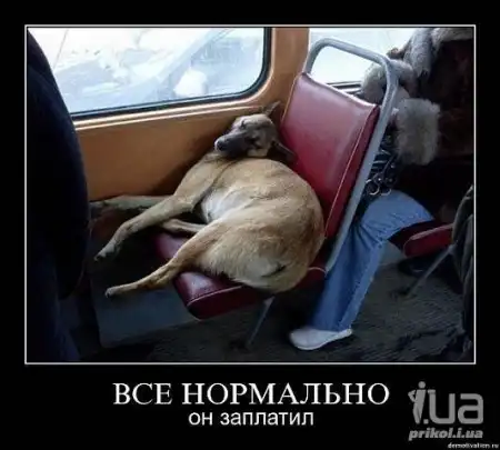 Разнообразная подборка =)