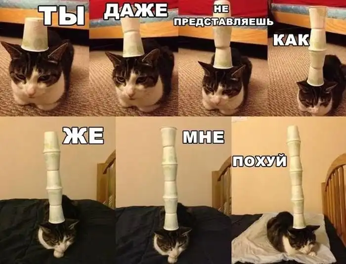 Прикольные картинки абавсём (19.12.12) Прикольные картинки абавсём (19.12.12)