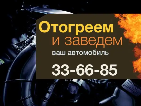 Прыгающий на два метра кот покорил Интернет Прыгающий на два метра кот покорил Интернет