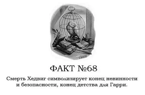 ТОП-80 фактов о Гарри Поттере ТОП-80 фактов о Гарри Поттере