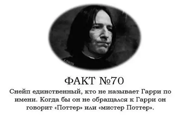 ТОП-80 фактов о Гарри Поттере ТОП-80 фактов о Гарри Поттере