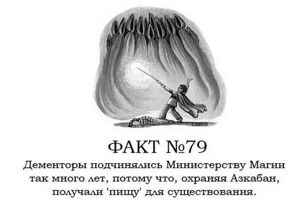ТОП-80 фактов о Гарри Поттере ТОП-80 фактов о Гарри Поттере
