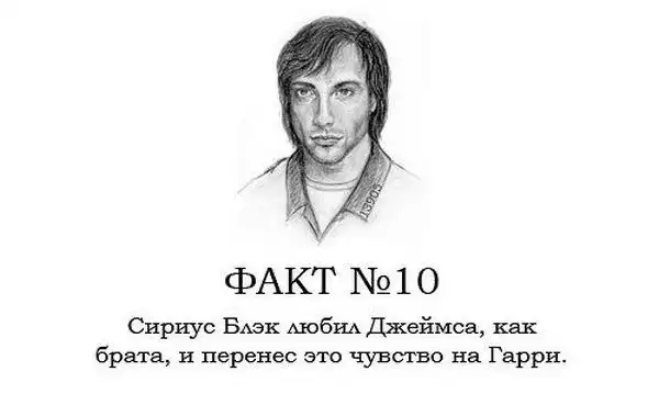 ТОП-80 фактов о Гарри Поттере ТОП-80 фактов о Гарри Поттере