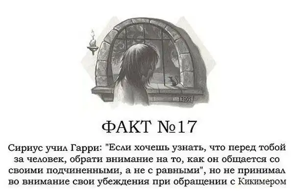 ТОП-80 фактов о Гарри Поттере ТОП-80 фактов о Гарри Поттере