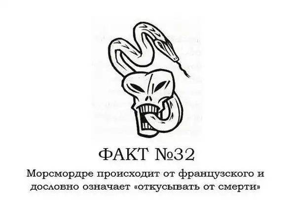 ТОП-80 фактов о Гарри Поттере ТОП-80 фактов о Гарри Поттере